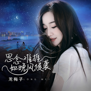 网页网页小豚导航
