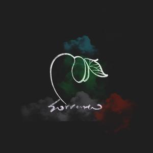 网页网页小豚导航
